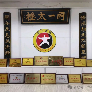 同一太极序二