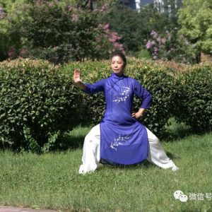 沈宝琴：练太极拳要"留一分"