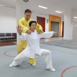 赵军：太极是身体与灵魂的修行
