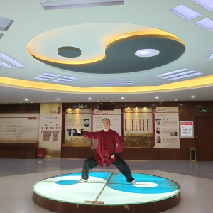 陈彦龙：太极拳习练之感悟