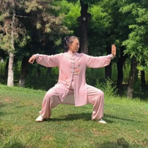刘晓庆：太极拳运动科学原理与身体认知重构