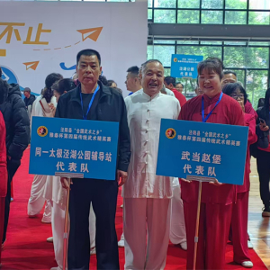 泾阳第四届传统武术精英赛落幕 同一太极辅导站载誉而归